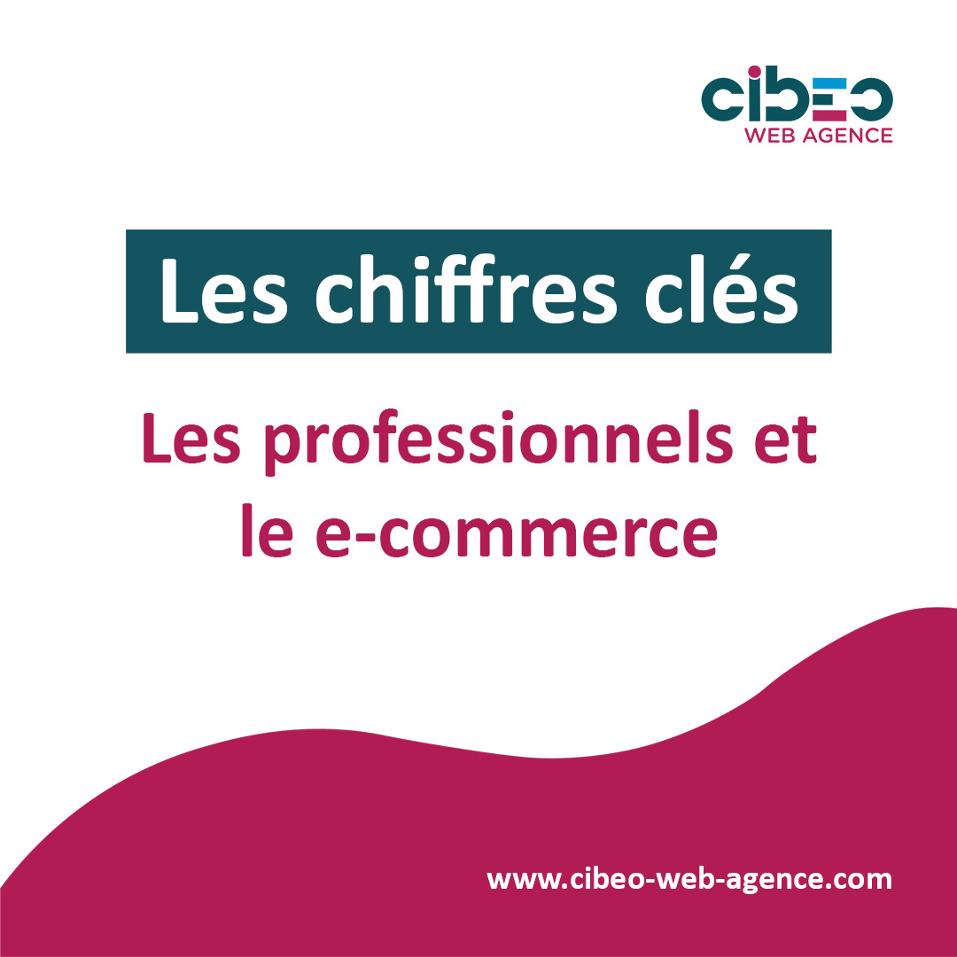 Marché e-commerce professionnels B2B - Chiffres clés B2B - CIBEO Web Agence